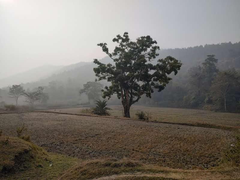 Kurchi Homestay Ghatshila Exteriör bild